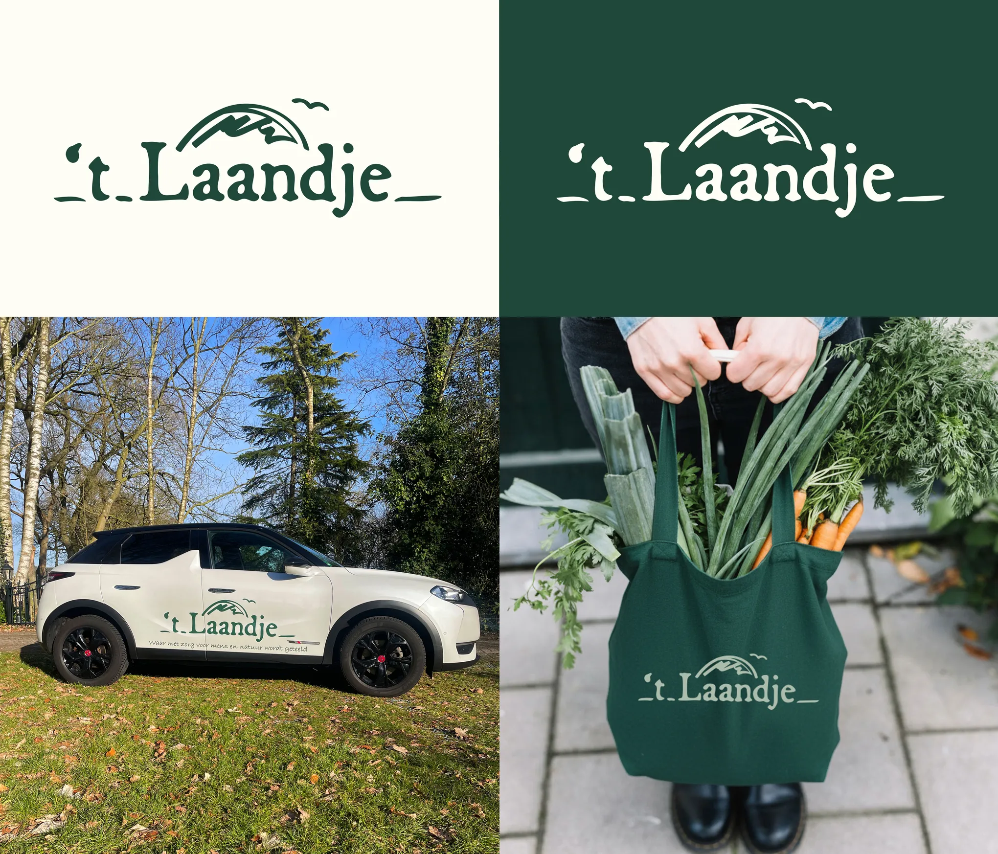 Logo_tLaandje