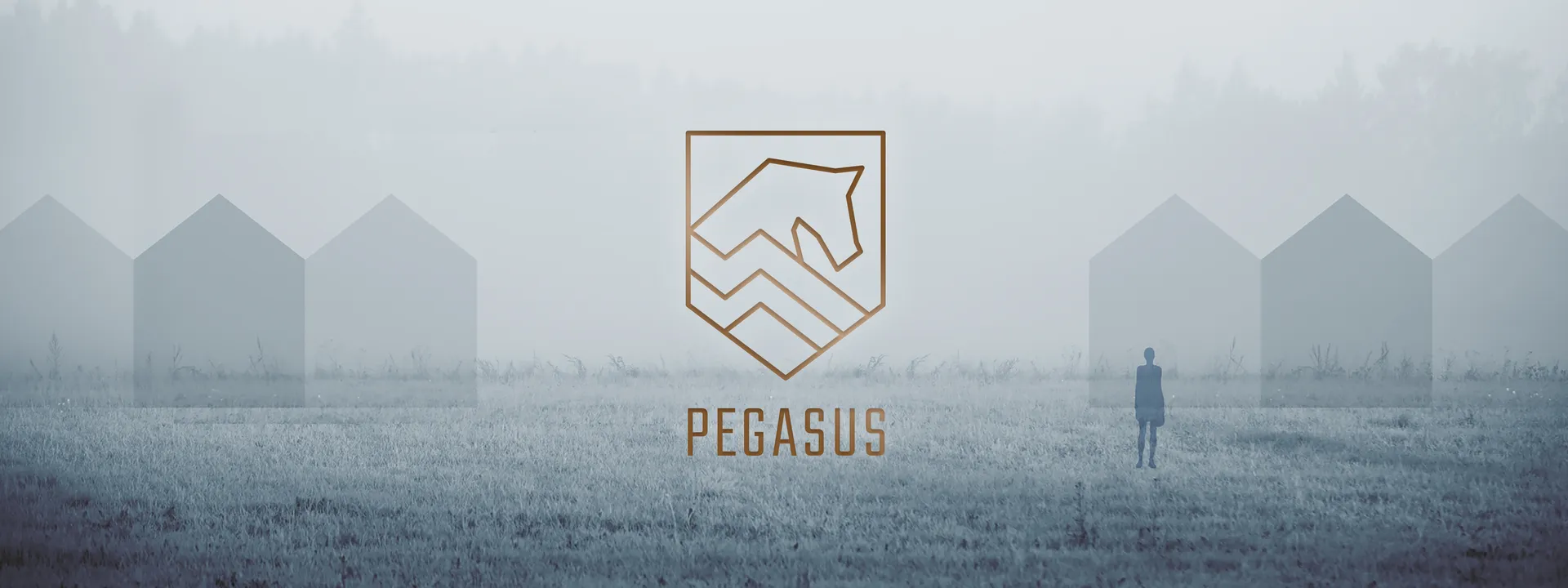 headerbeeld pegasus vastgoed