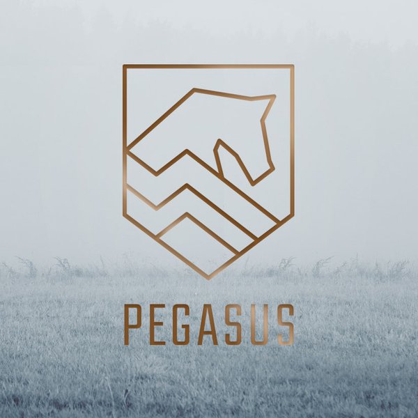 logo pegasus vastgoed